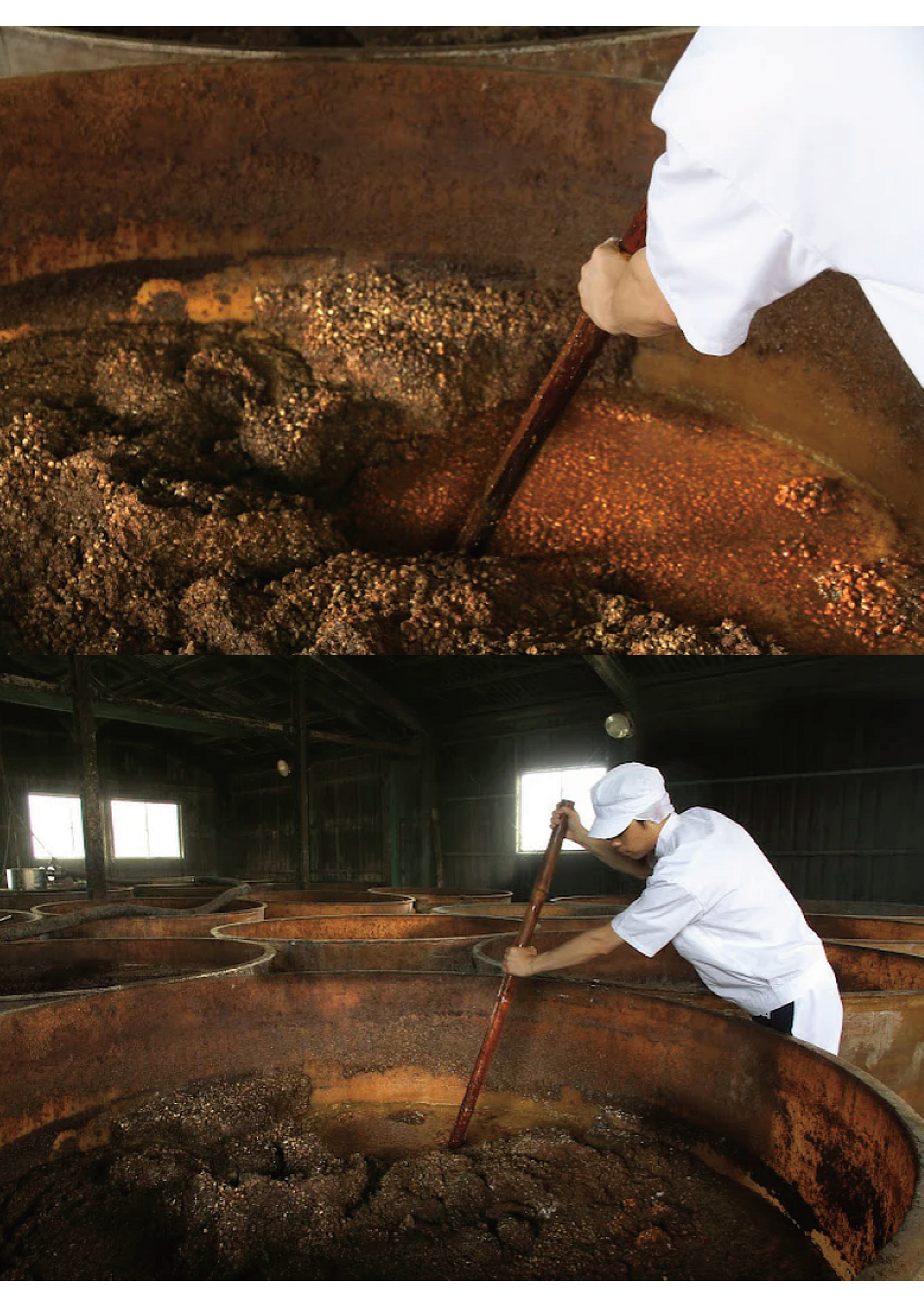 発酵調味料セット (丸秀醤油・佐賀) (税別)