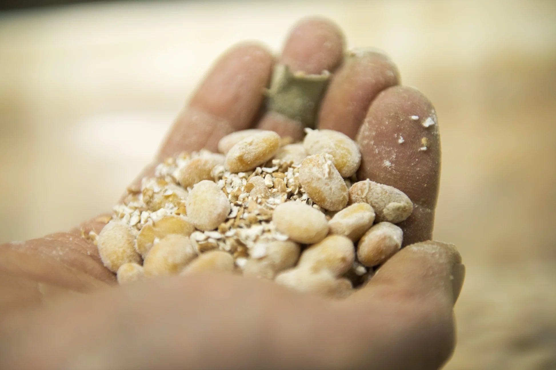 発酵調味料セット (丸秀醤油・佐賀) (税別)